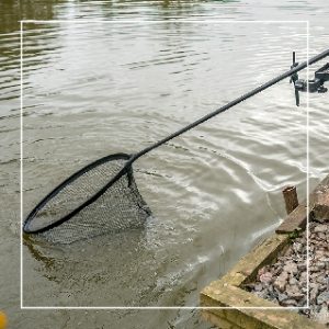 Landing Net Handles